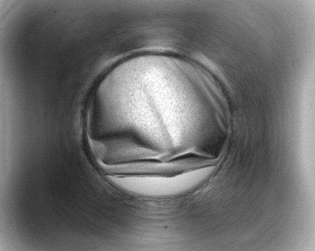 X0000088441408200706051240