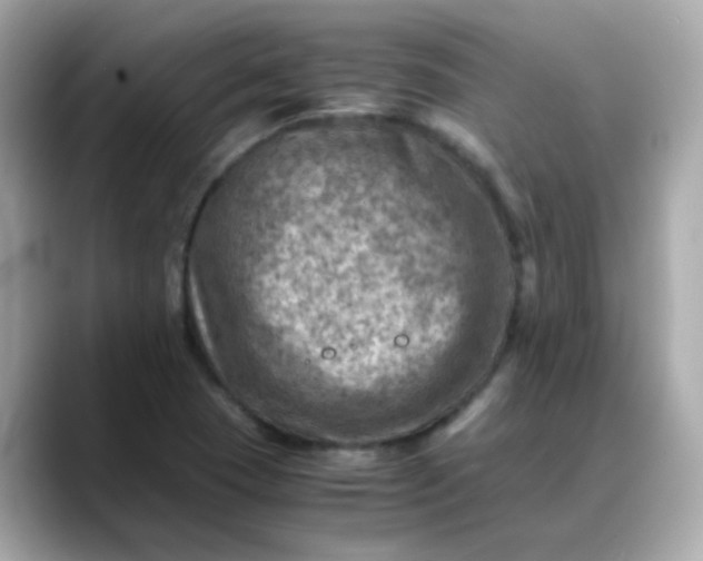 X0000088441409200706051240