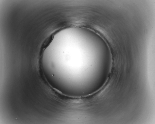 X0000088441410200706051240