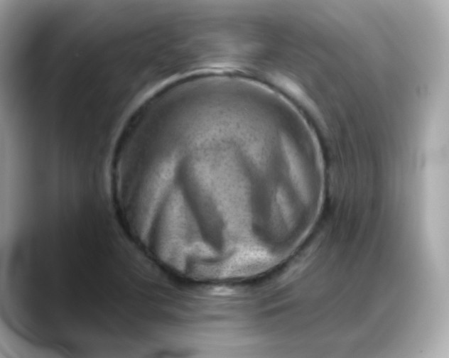 X0000088441412200706051240