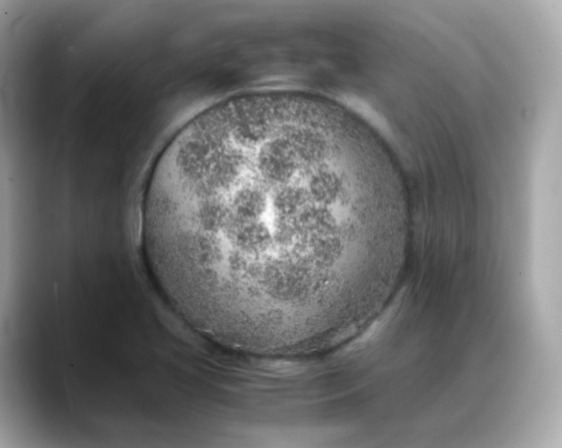 X0000088441413200706051240