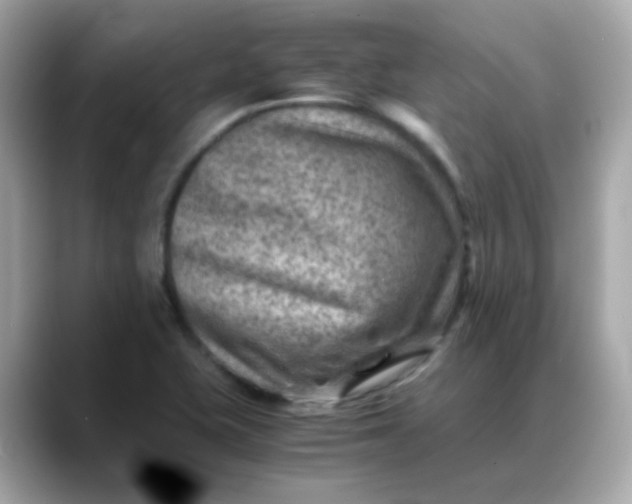 X0000088441415200706051240