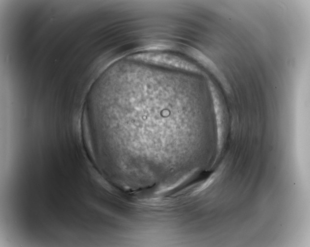 X0000088441417200706051240