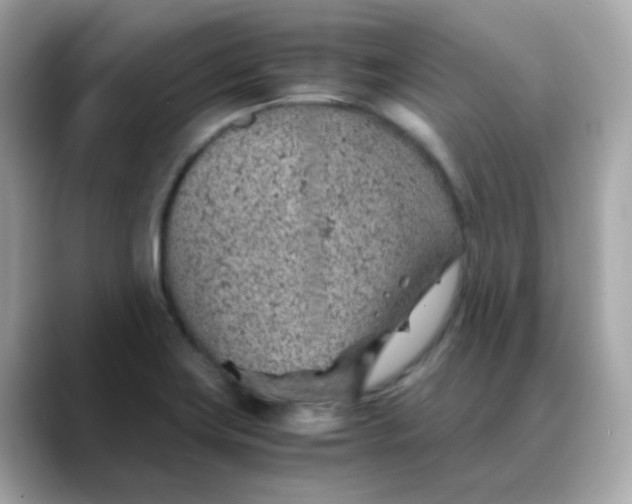 X0000088441419200706051240