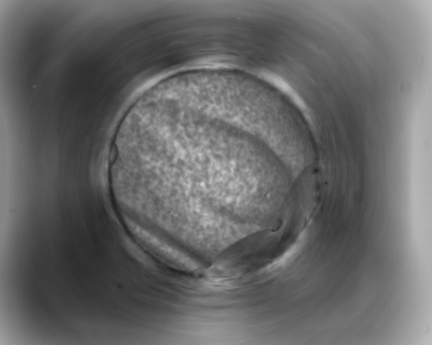 X0000088441421200706051240
