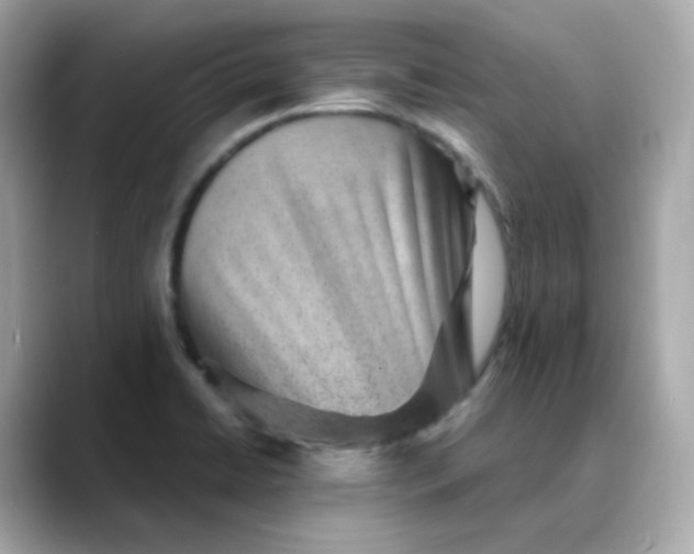 X0000088441422200706051240