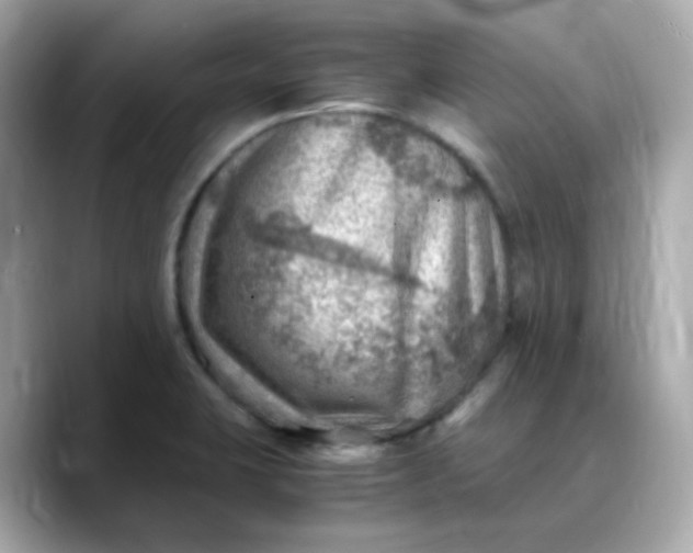 X0000088441423200706051240