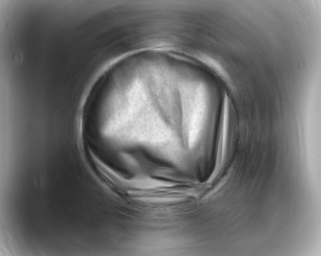 X0000088441424200706051240