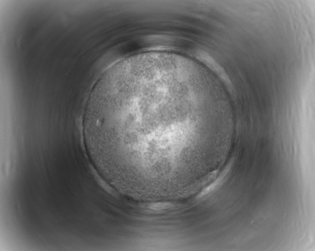 X0000088441425200706051240