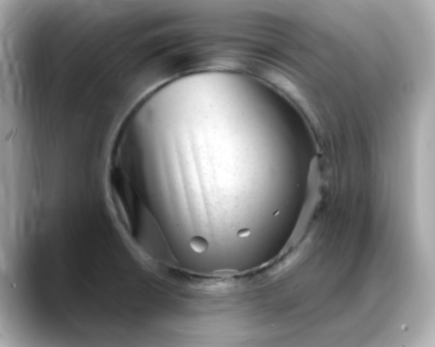 X0000088441426200706051240