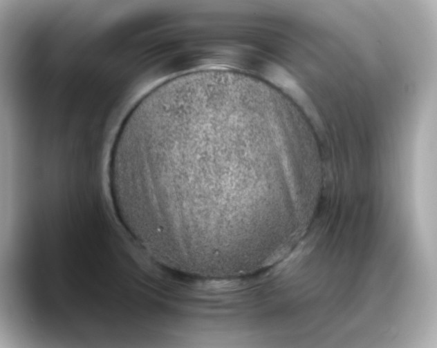 X0000088441427200706051240