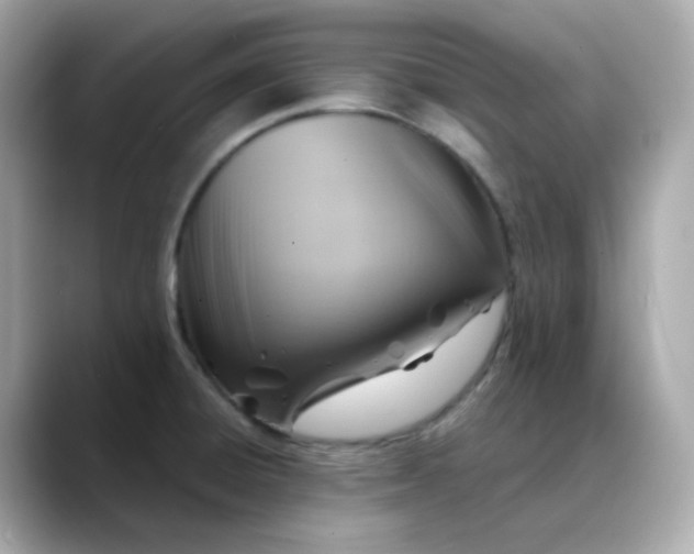 X0000088441428200706051240