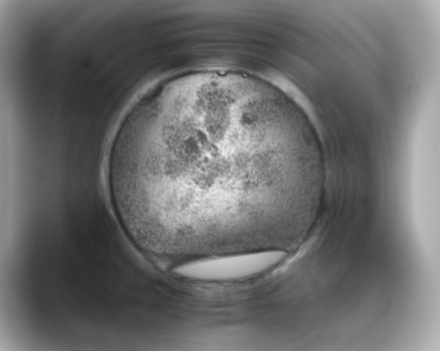 X0000088441429200706051240