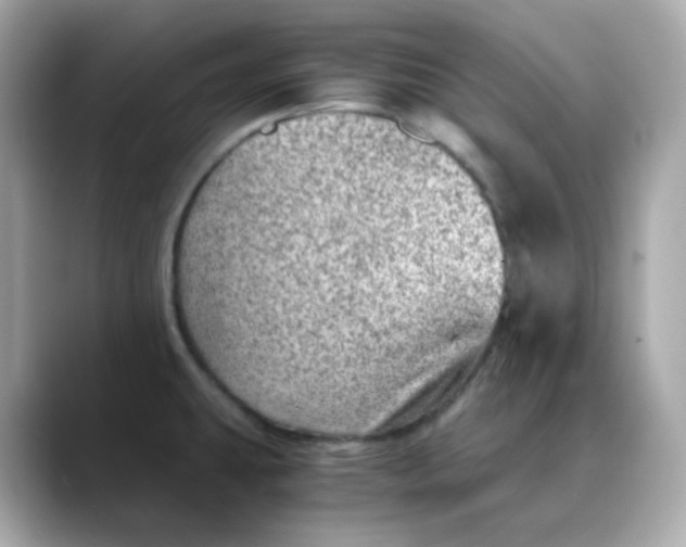 X0000088441431200706051240