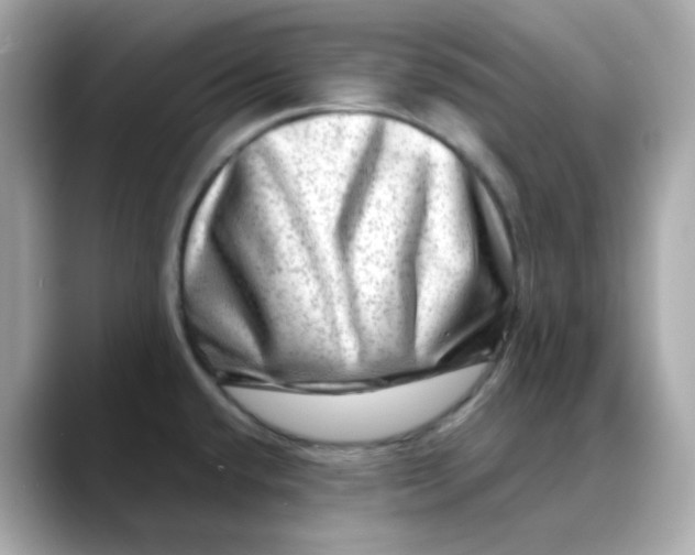 X0000088441432200706051240