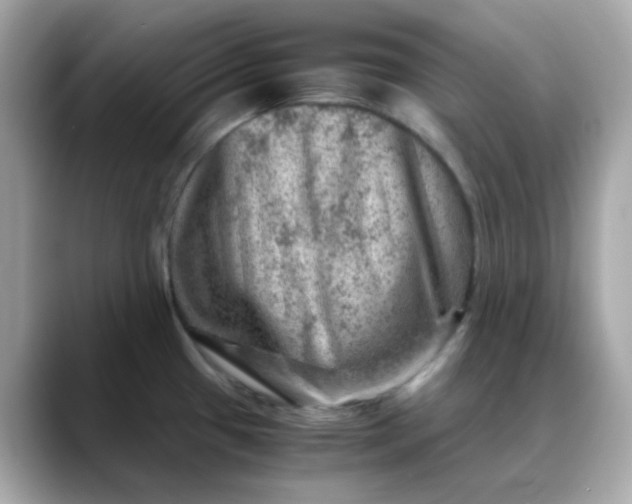 X0000088441433200706051240