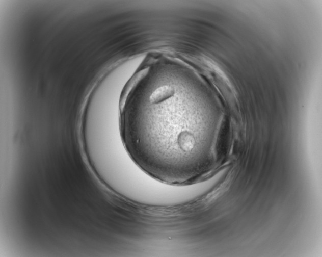 X0000088441434200706051240
