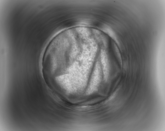 X0000088441435200706051240