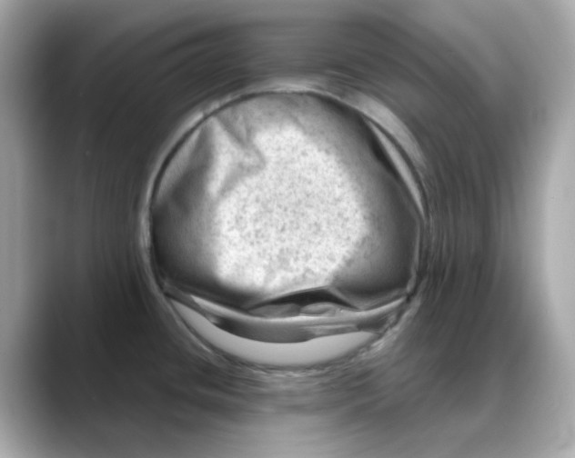 X0000088441436200706051240
