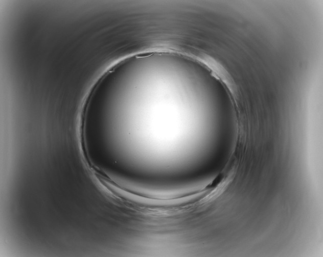 X0000088441438200706051240