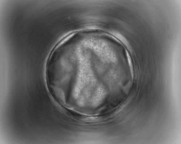 X0000088441439200706051240