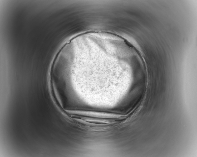 X0000088441440200706051240