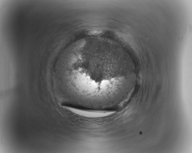 X0000088441441200706051240