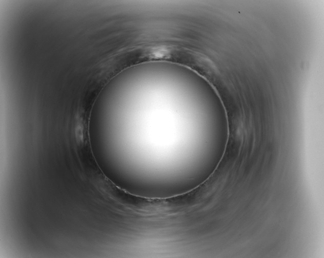 X0000088441442200706051240