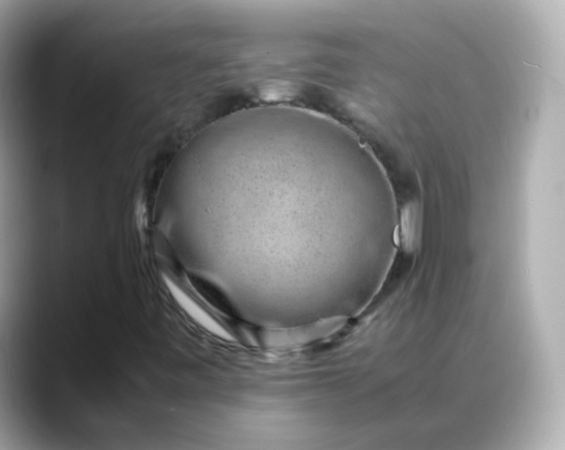 X0000088441443200706051240