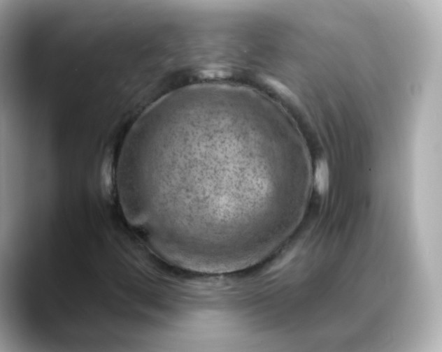 X0000088441444200706051240