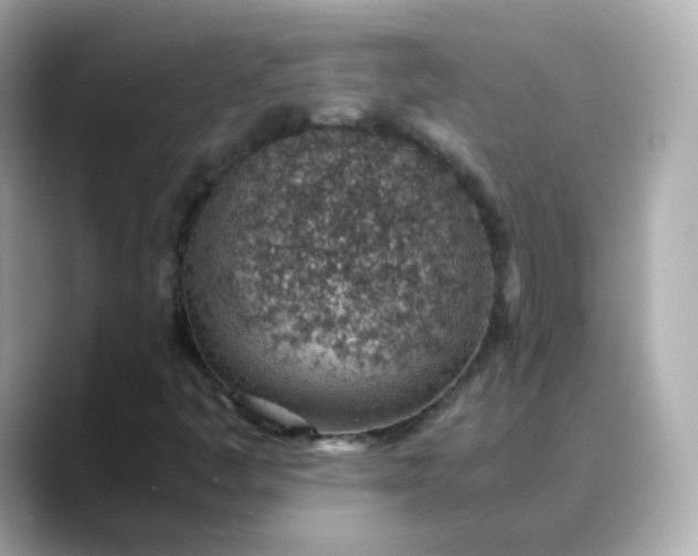 X0000088441445200706051240