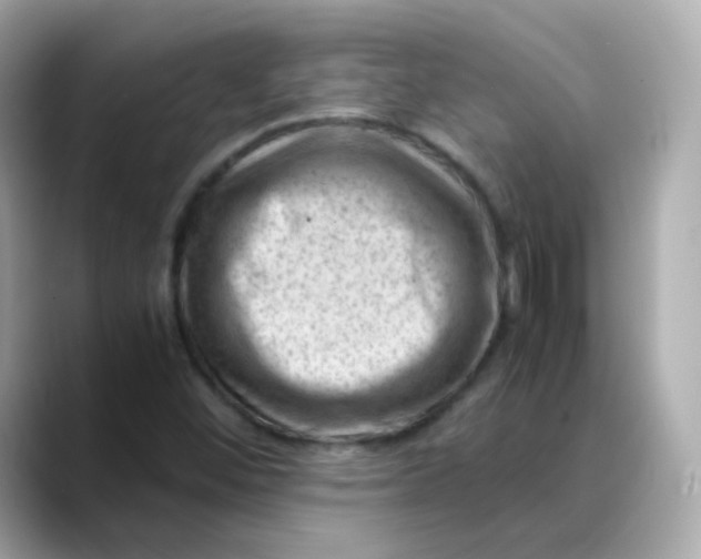 X0000088441452200706051239