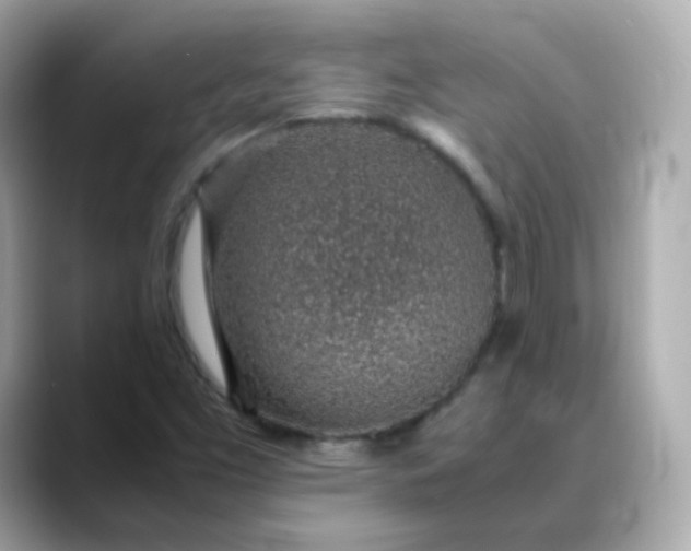 X0000088441453200706051239