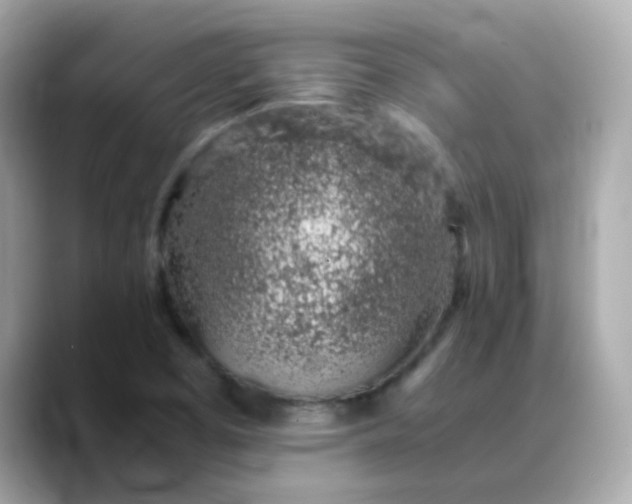 X0000088441457200706051239