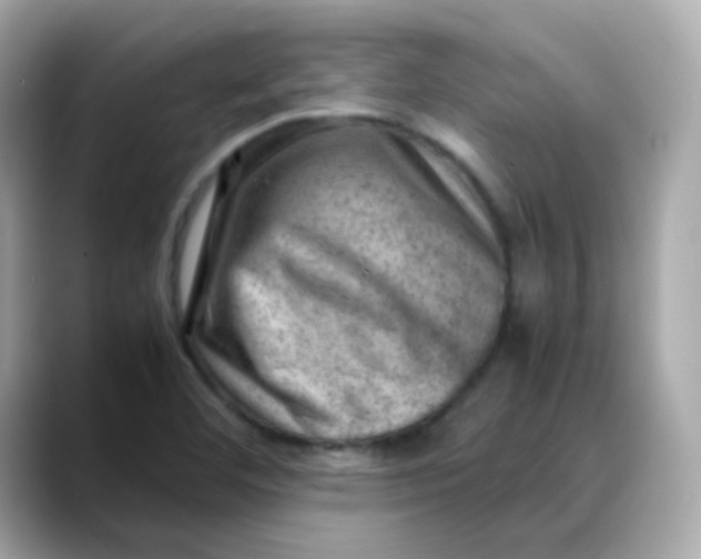X0000088441460200706051239