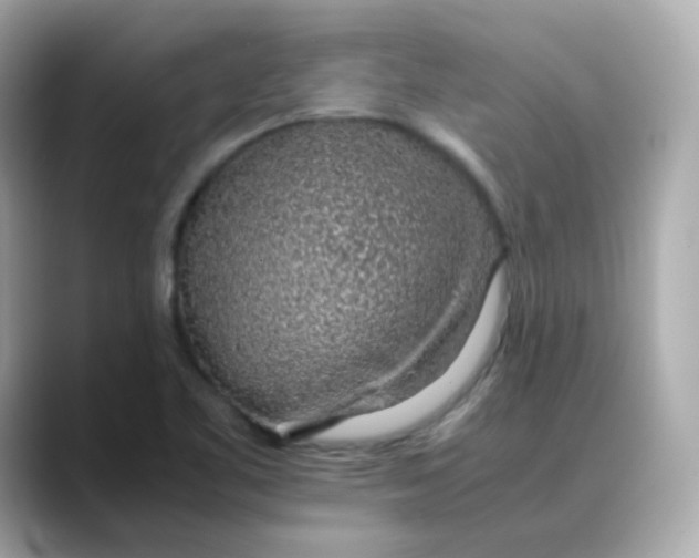 X0000088441461200706051239