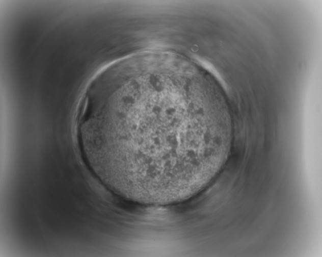 X0000088441463200706051239