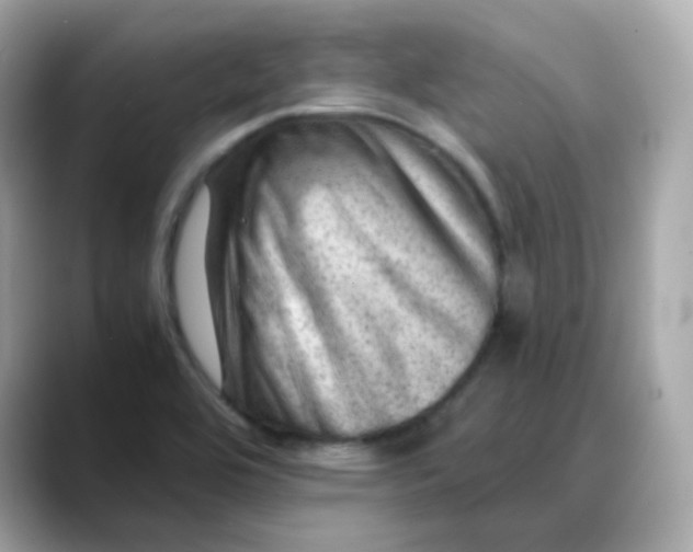 X0000088441464200706051239