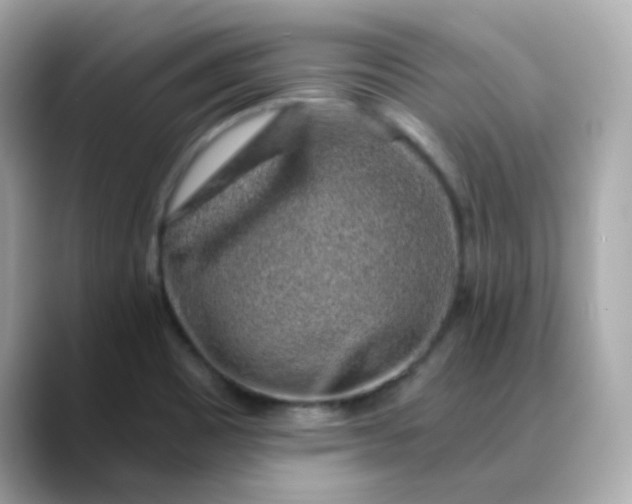 X0000088441465200706051239