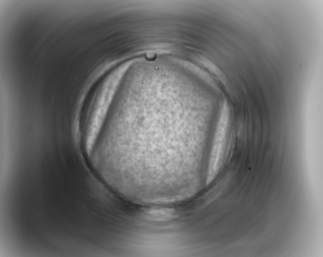 X0000088441466200706051239