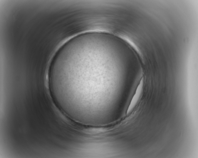 X0000088441468200706051239