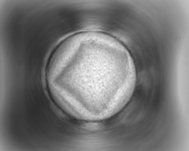 X0000088441470200706051239