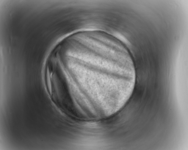 X0000088441472200706051239