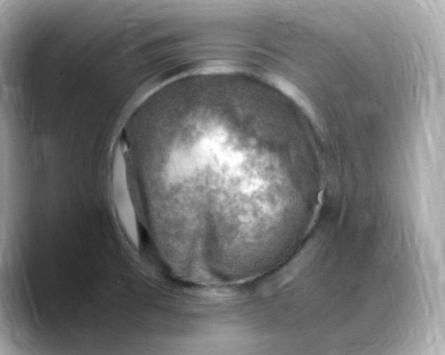 X0000088441473200706051239