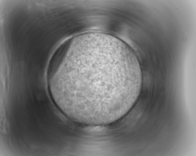 X0000088441474200706051239