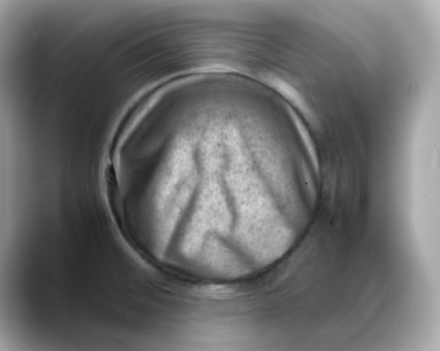 X0000088441476200706051239