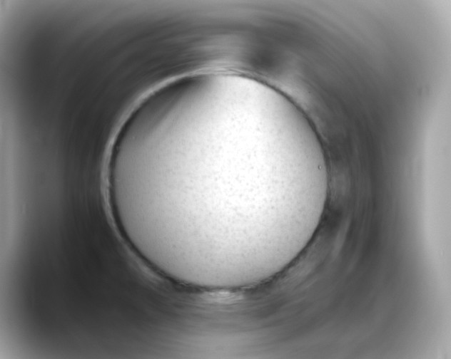 X0000088441478200706051239
