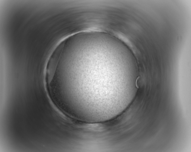 X0000088441479200706051239