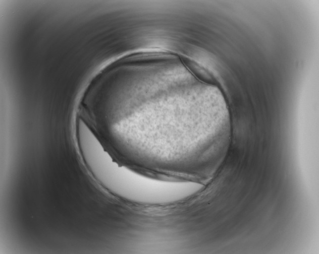 X0000088441480200706051239