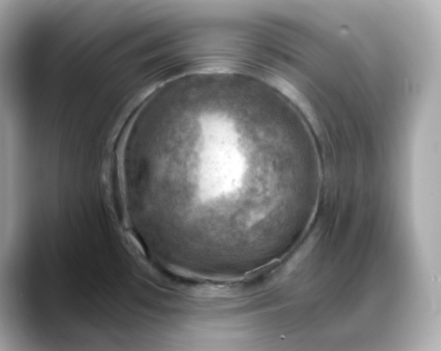 X0000088441481200706051239